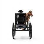 Love Inspired Amish Collection Kindle E-book 0.50-0